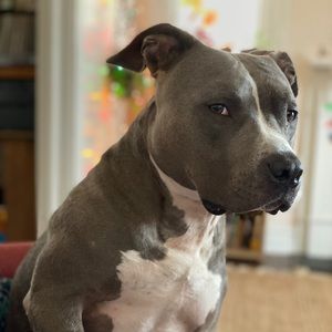 Meet your Posher, Melody